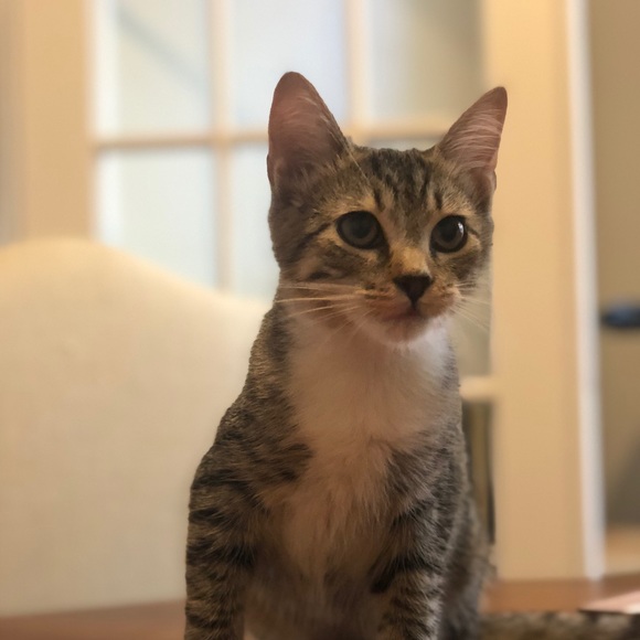 Meet your Posher, Alex - Picture 1 of 1